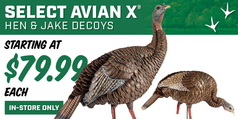 Avian X Decoys